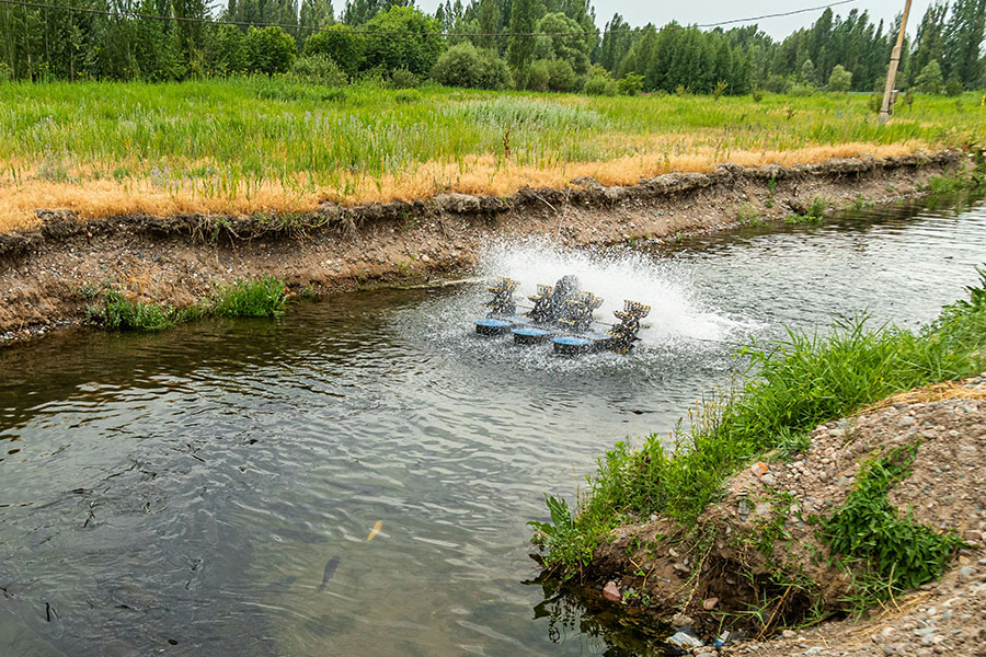 Lake & Pond Aeration