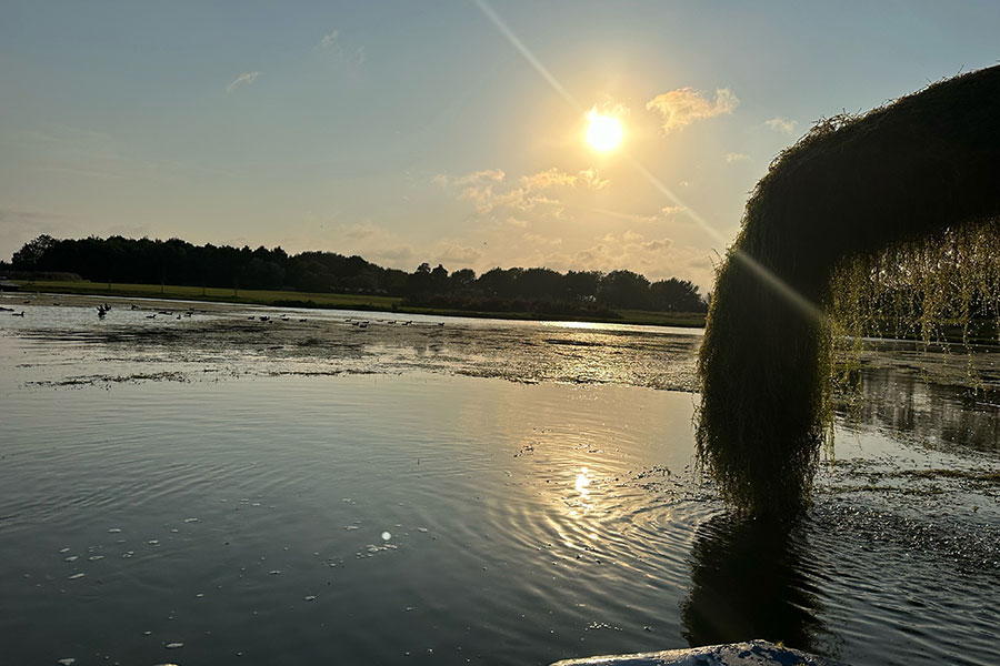 Lake & Pond Maintenance