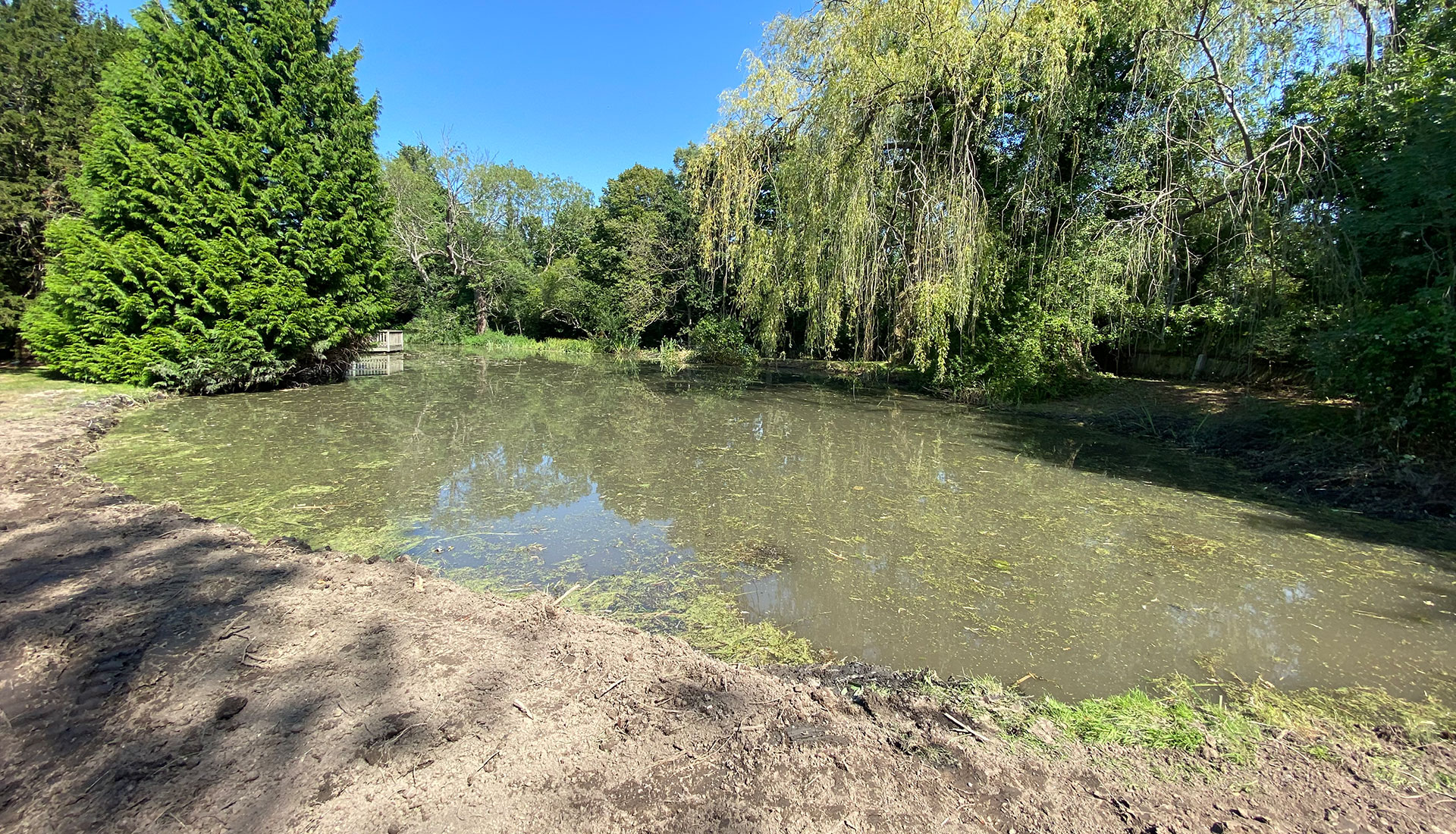 Half Acre Pond - Colchester