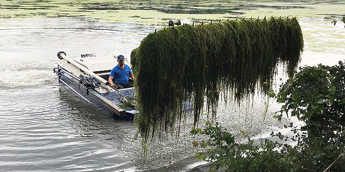 Weed Removal & Water Clearance